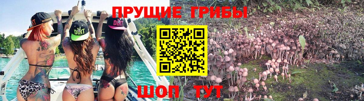 Псилоцибиновые грибы Magic Shrooms Заинск