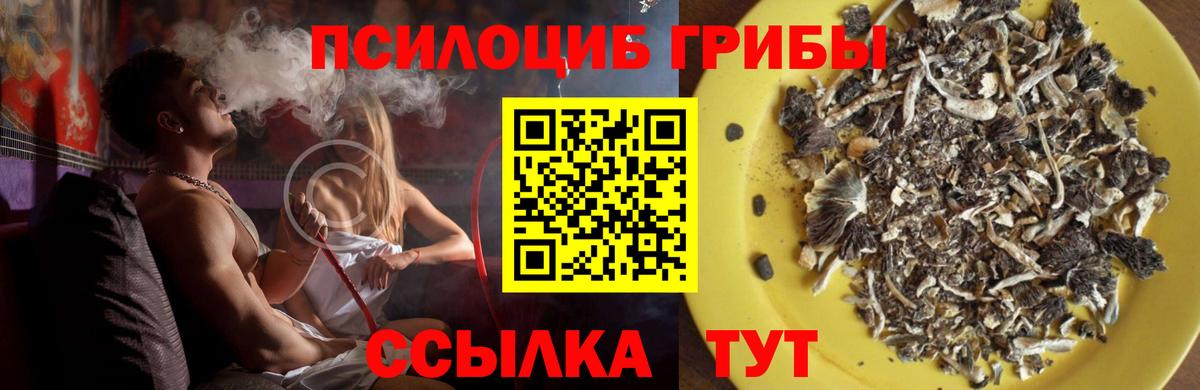 Заинск  Псилоцибиновые грибы Magic Shrooms  Вход с VPN 